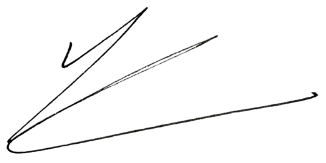 Handwritten signature of Yaniv Levy